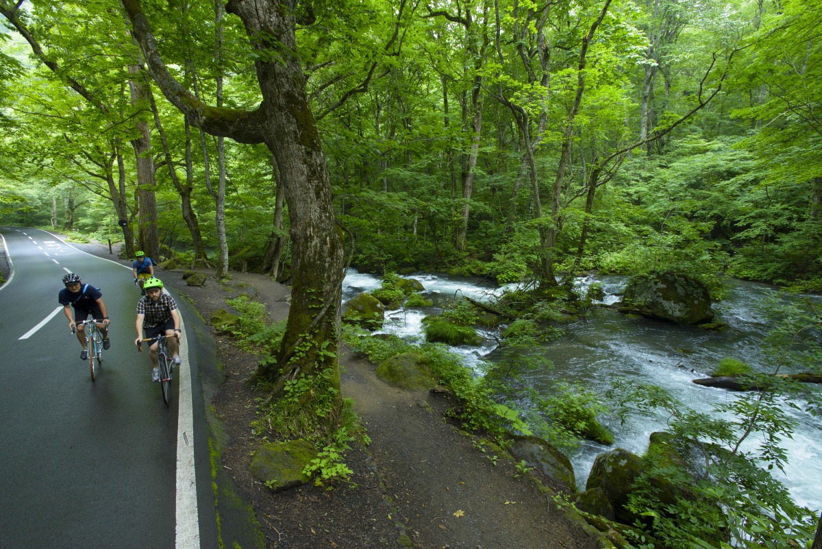 【サイクリングコース 十和田・奥入瀬】千変万化にうつろう渓流を抜け、神秘の湖へ