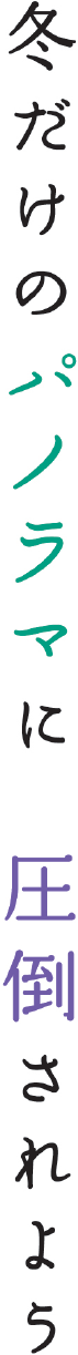 冬だけのパノラマに圧倒されよう