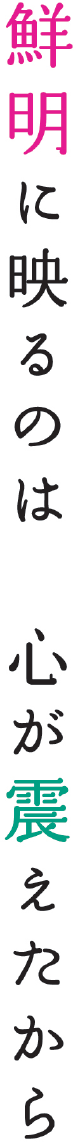 鮮明に映るのは心が震えたから