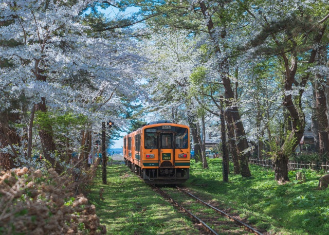 Ashino Park Tsugaru Line