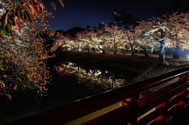 夜晚的弘前城菊与红叶祭