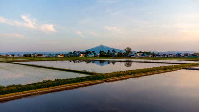 Paddy fields and Mt. Iwaki