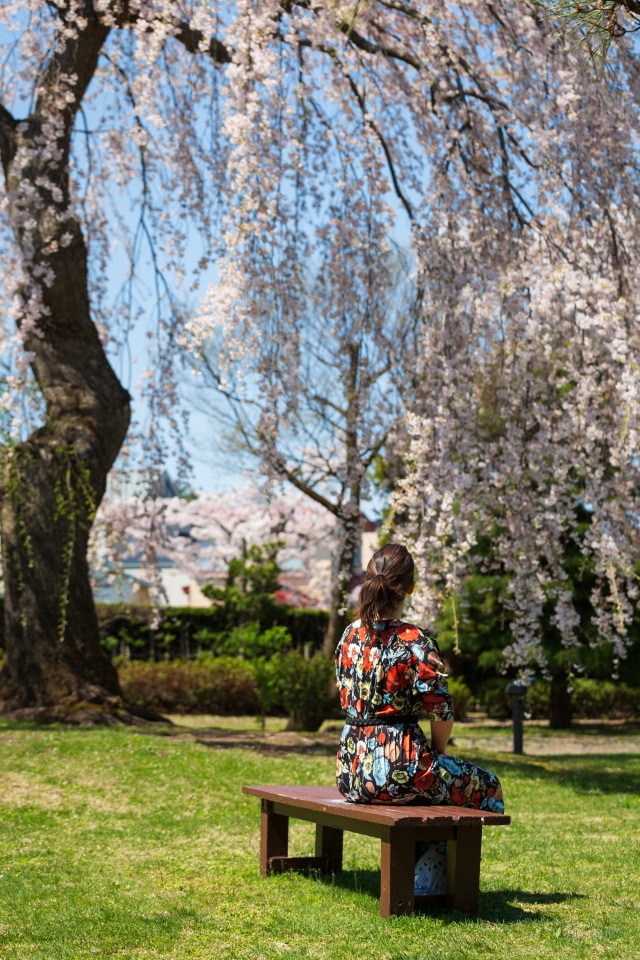 후지타 기념 일본식 정원