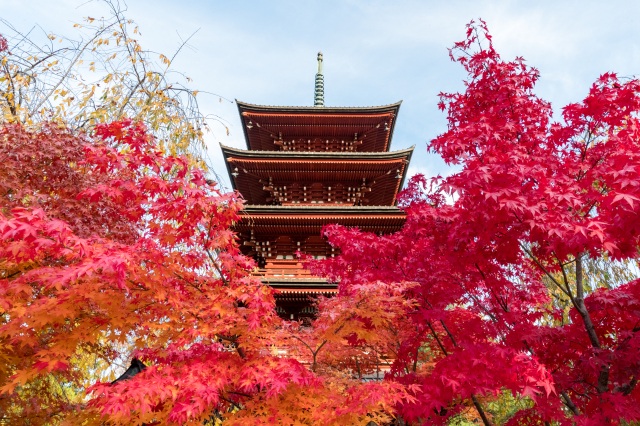Saisho-in Temple Five-storied Pagoda