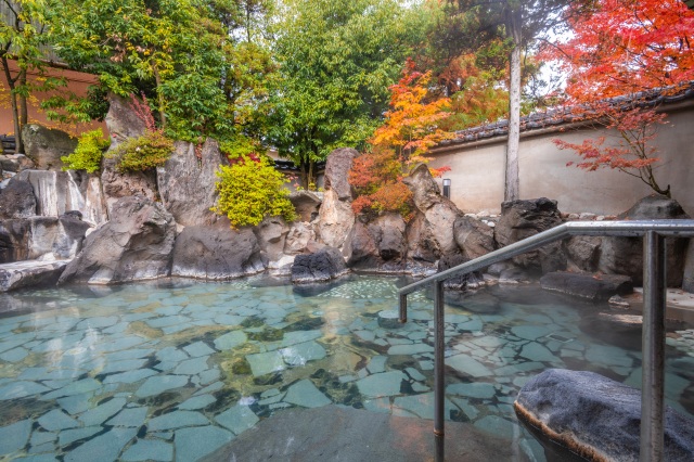 Fujiya Hotel (open-air hot spring bath)