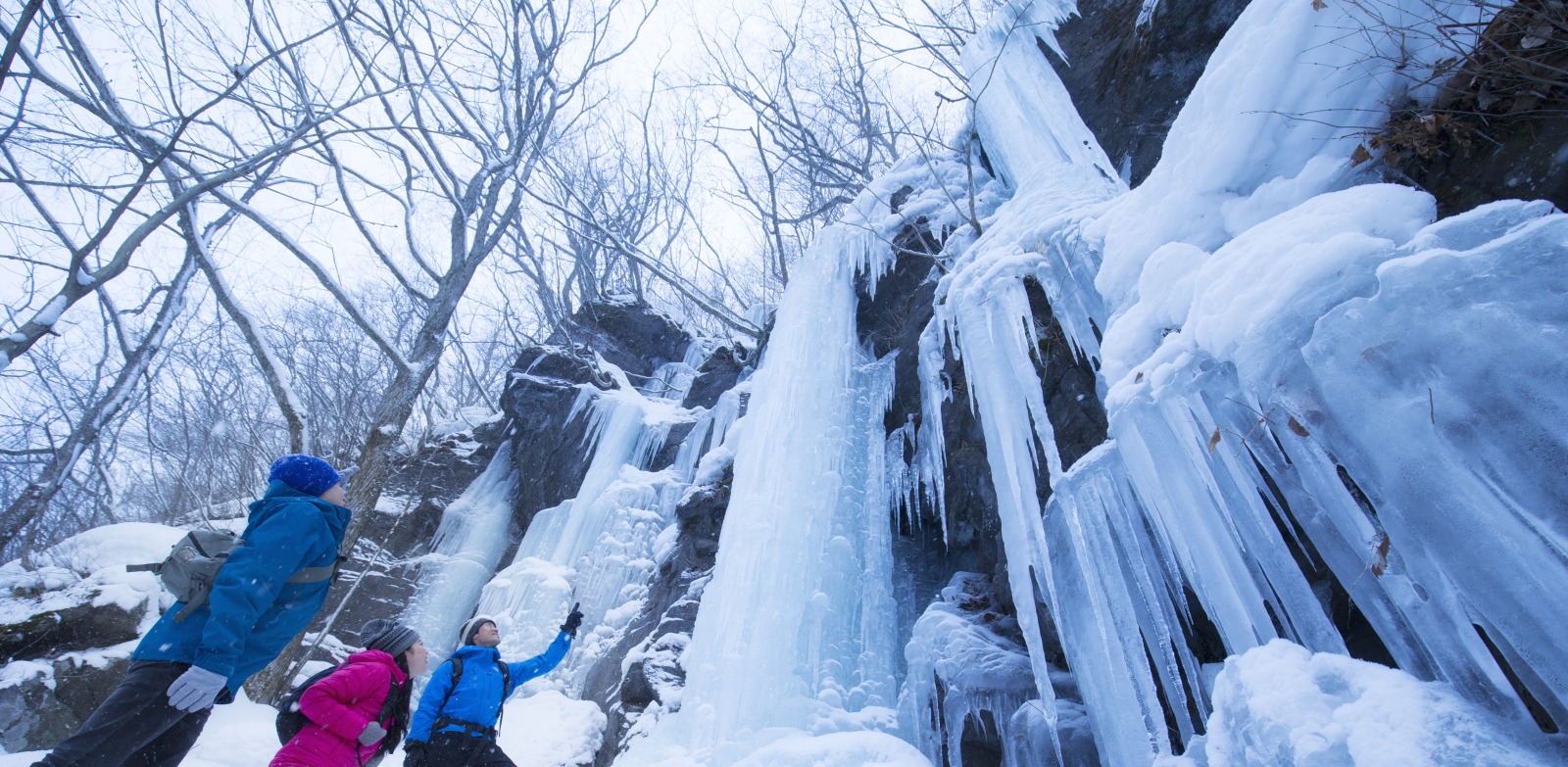 A Winter Trip to Oirase Gorge