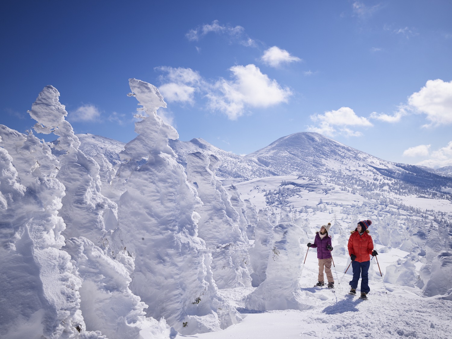 Let's enjoy Aomori in winter