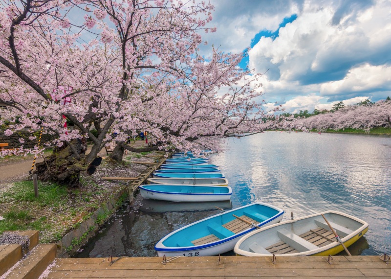 Top Aomori Photography Locations By A Pro
