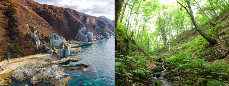 A Tale of Two Peninsulas: Unforgettable Vistas Await You in Aomori’s Most Far-Flung Regions