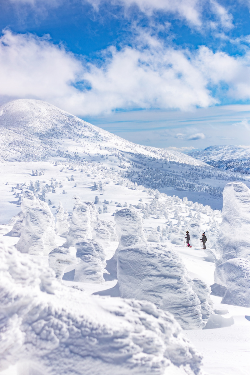 美冬青森：難以忘懷的旅行體驗