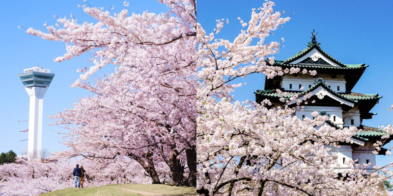 四季でめぐる、「函館」「青森」北の玄関口