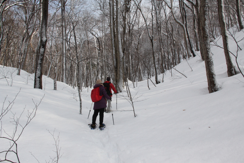 Travelogue 겨울에 더욱 매력적인 아오모리현의 문화와 겨울 액티비티를 즐기는 하치노헤·도와다호 여행
