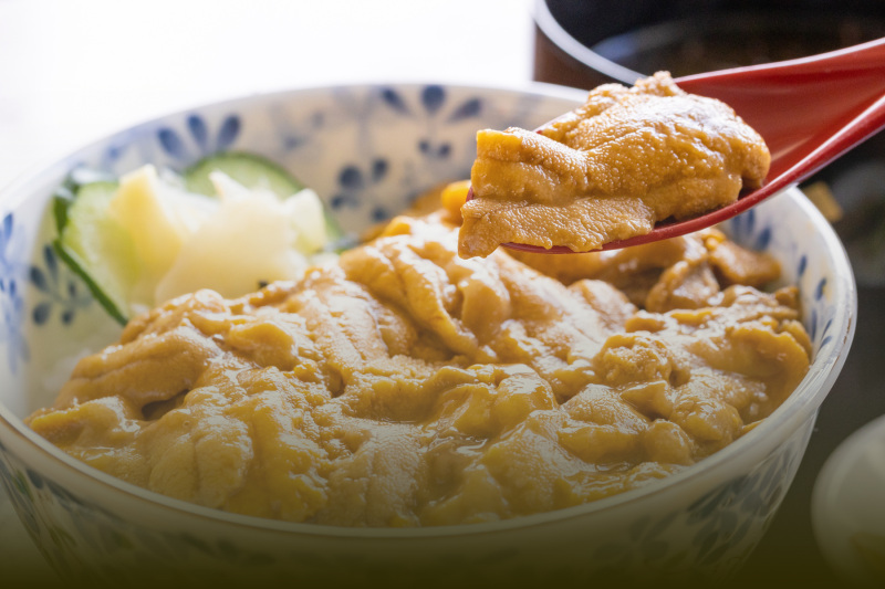 前往青森，品嚐頂級海味──海膽蓋飯！