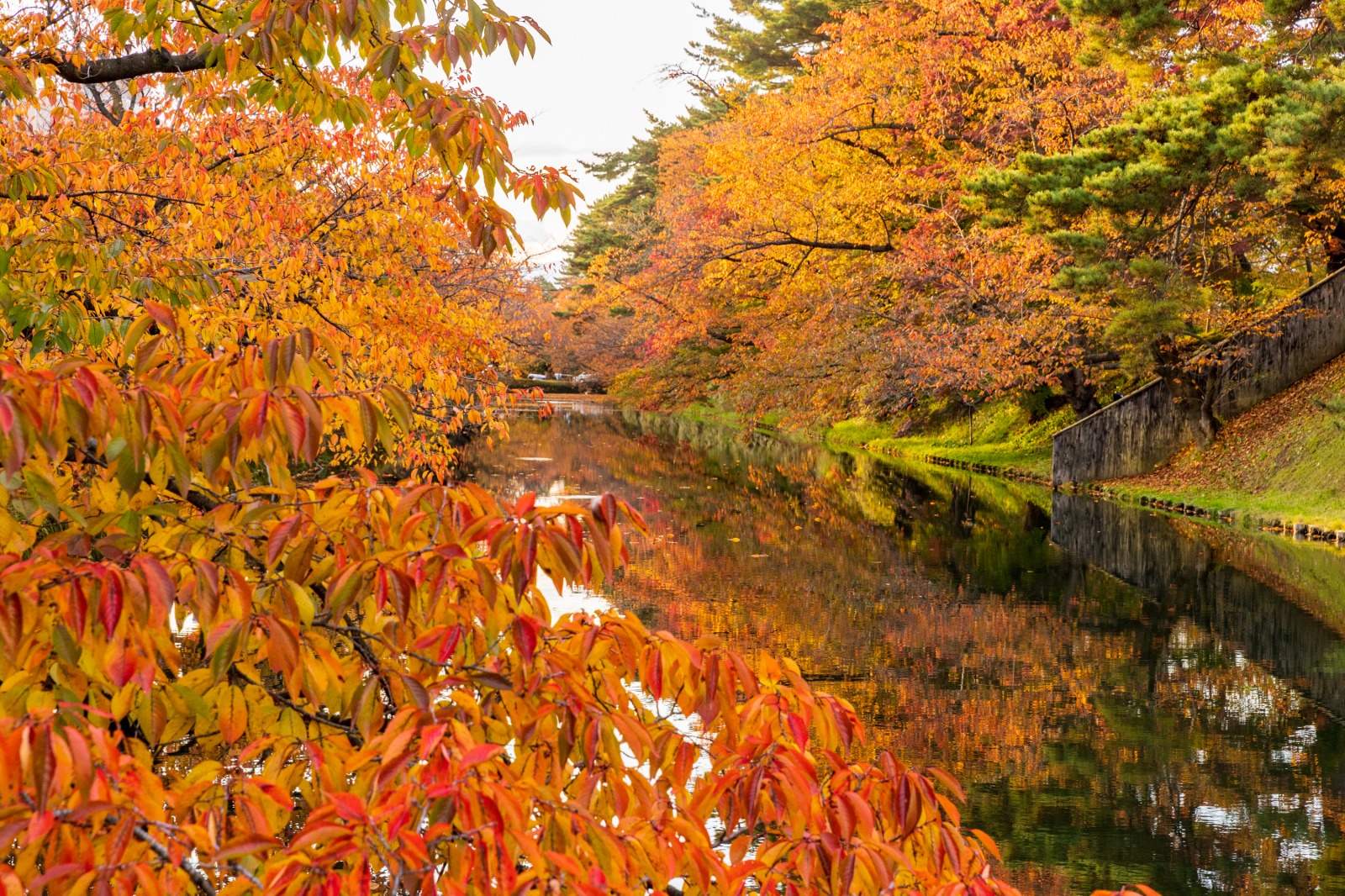 弘前は秋も見逃せない 絶景紅葉スポット 特集 公式 青森県観光情報サイト Amazing Aomori