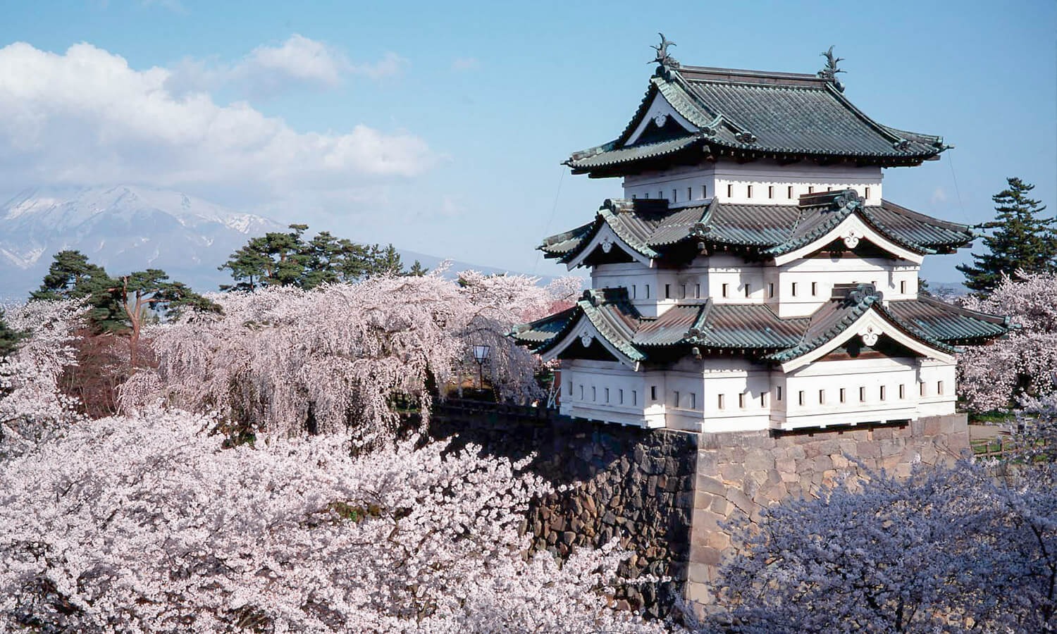 死ぬまでに見たい弘前の桜 特集 公式 青森県観光情報サイト Amazing Aomori