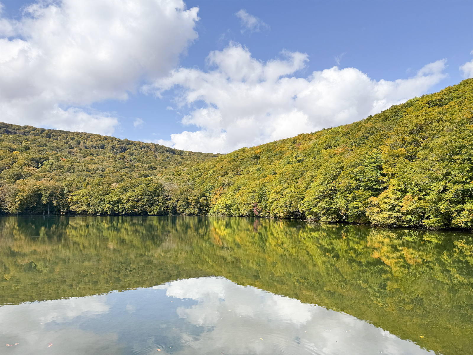 2025年10月17日撮影の蔦沼