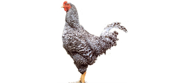 今日は名前を褒められました。