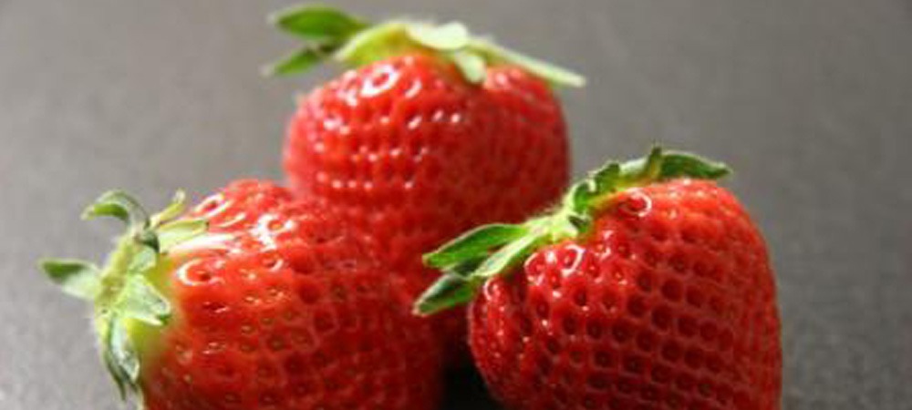 八戸の昔いちご