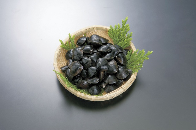 今が旬！一年の中で最も身が太った小川原湖・十三湖の「土用しじみ」