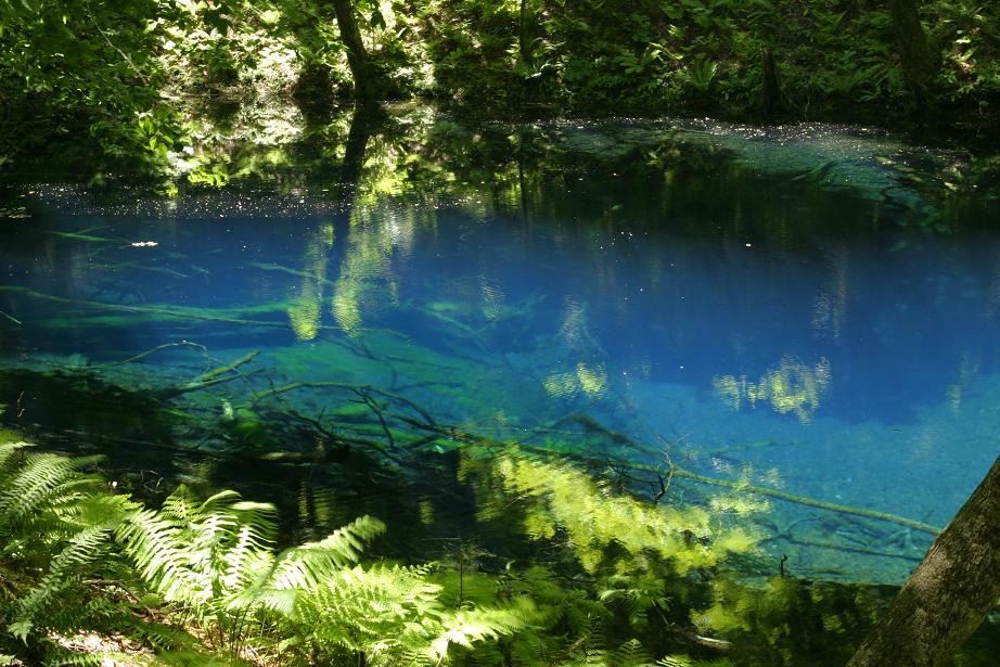 自然が魅せる 奇跡の青!