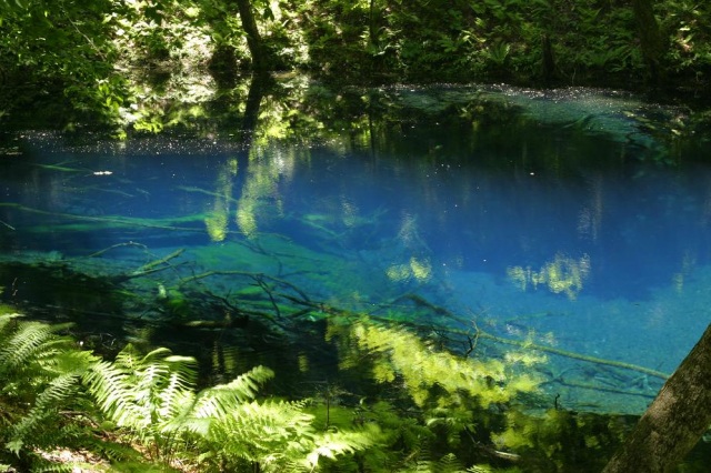 自然が魅せる　奇跡の青！