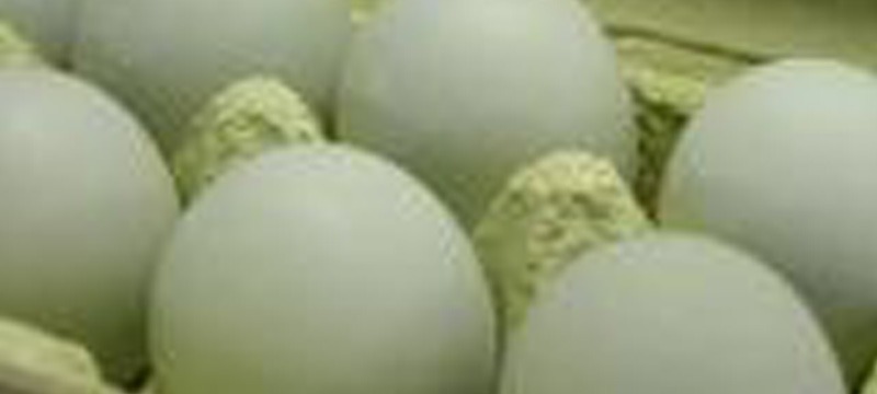 緑の「あすなろ卵」で、おいしい卵かけごはん。