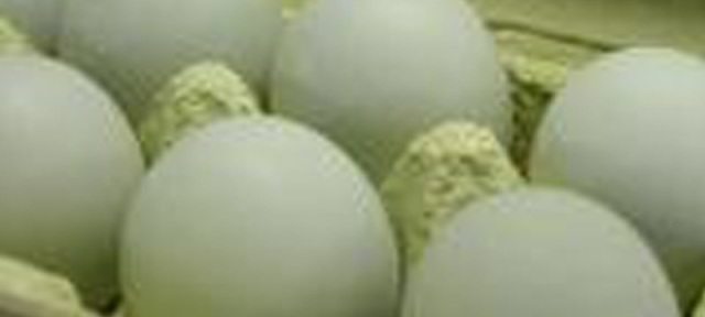 緑の「あすなろ卵」で、おいしい卵かけごはん。