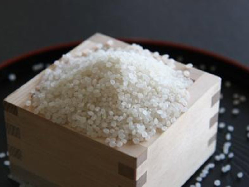 青森生まれのスーパー玄米 極小粒うるち米『つぶゆき』