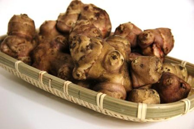 ”カライモ”と呼ばれる懐かしいイモ 「キクイモ」