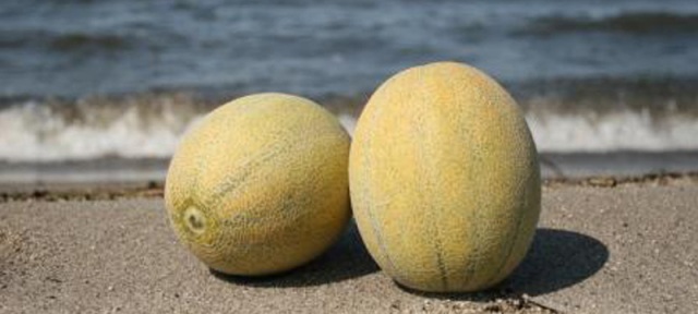 かなりおいしい！つがるのメロン