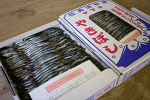 平舘海峡の「焼き干し」