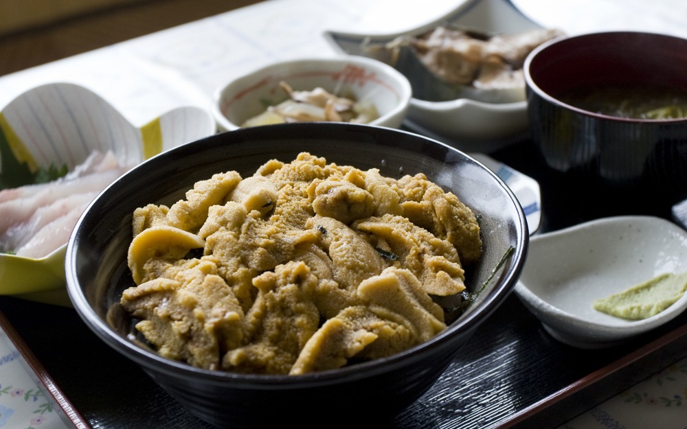 仏ヶ浦ドライブインの「ウニ丼」