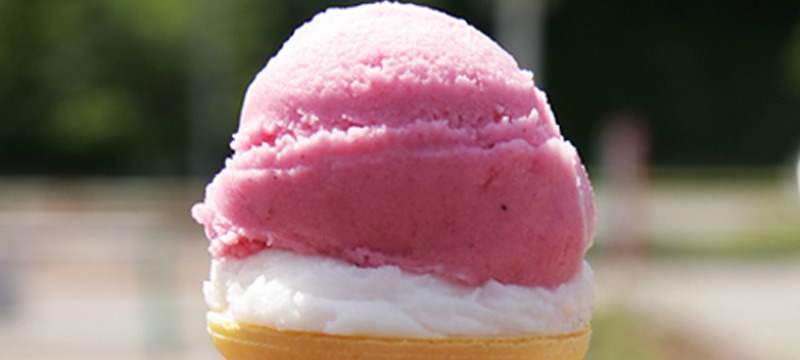 黒石で見つけた「ライスクリーン」