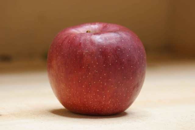 雑草魂で甦れ！悲運の中継ぎエース「北斗」