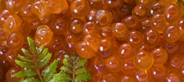 津軽海峡 醤油漬け いくら