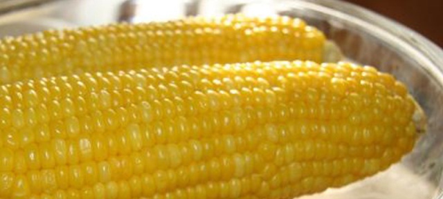 青森名物街道「嶽きみの道」