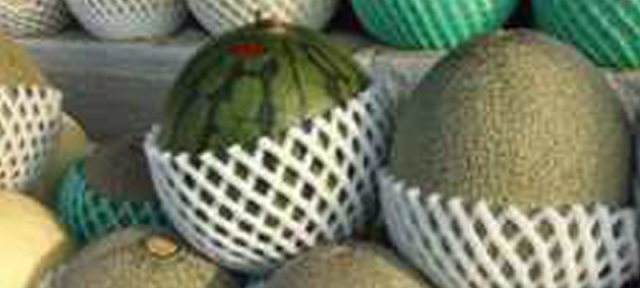 青森名物街道　「メロン・すいかのみち」