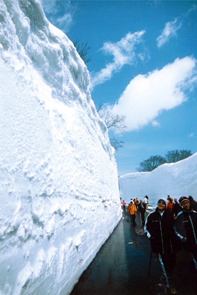 第１６回 八甲田ウォーク