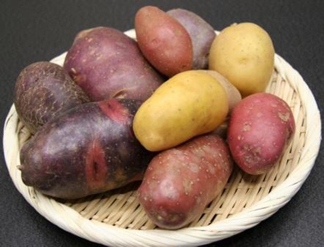 個性派揃いのじゃがいもたち 「テイスティングポテト」