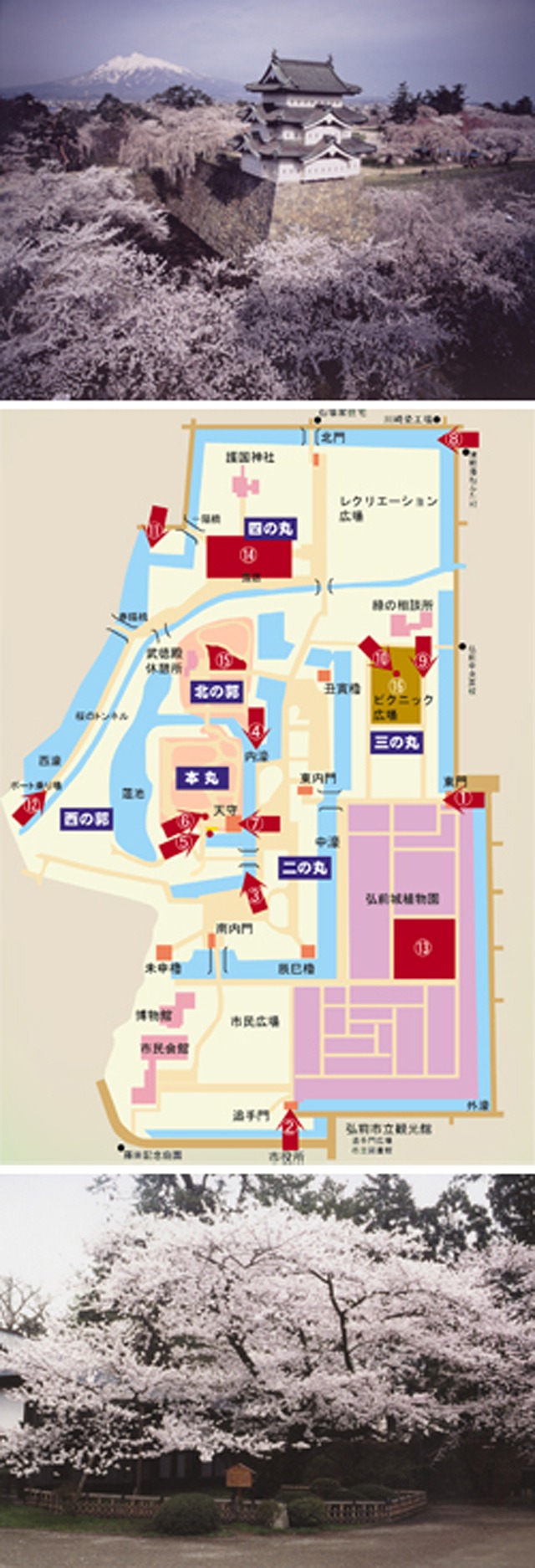 弘前のさくらを10倍楽しむ方法(1/5)