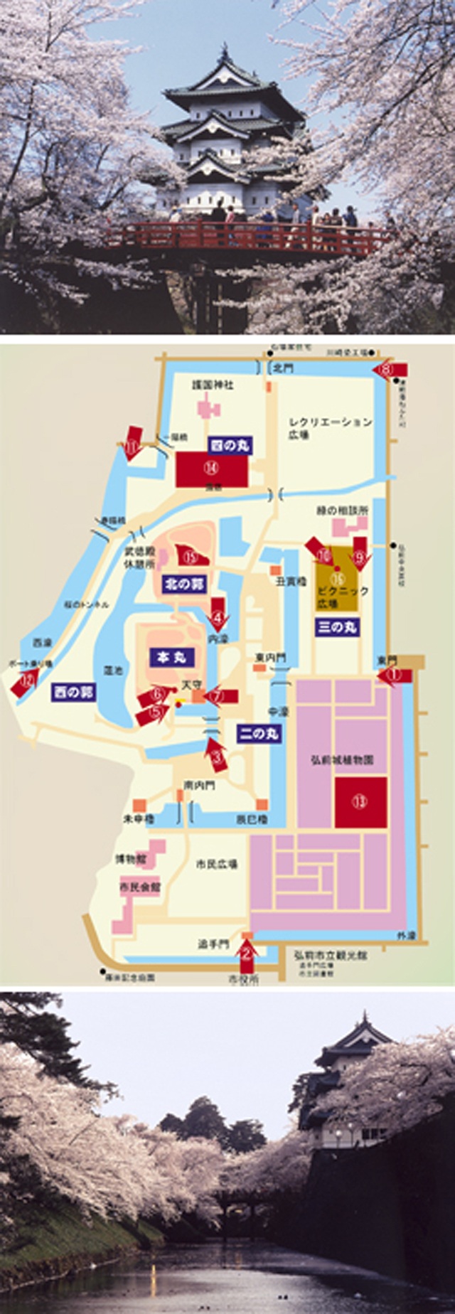 弘前のさくらを１０倍楽しむ方法（３／５）