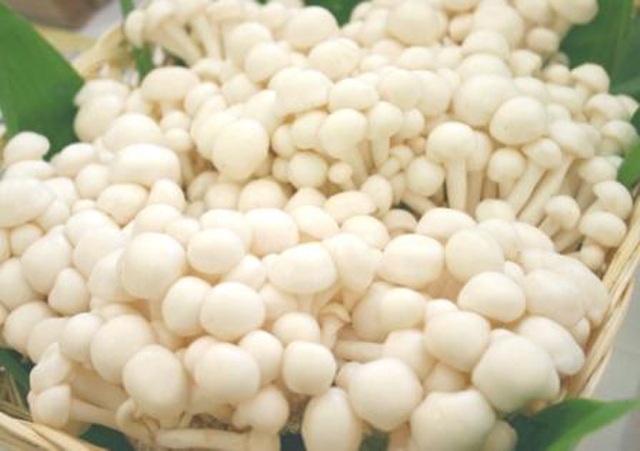 おいしいきのこ「初雪たけ」の物語