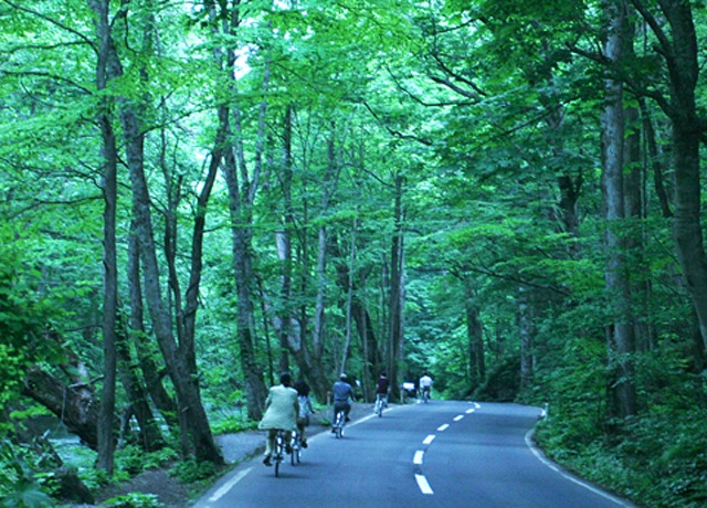 奥入瀬サイクリング