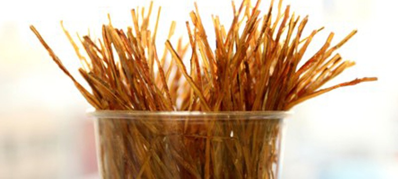 スタジアムで「いかソーメン（するめソーメン）」