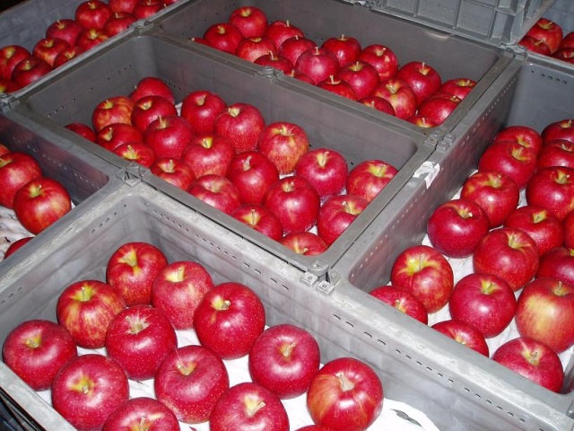 あ～かい～りんご～に、くちび～る・・・青森りんご全国へ発進中！