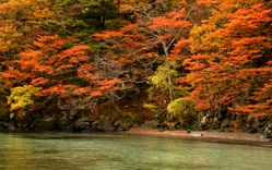 いざ紅葉の十和田湖へ！