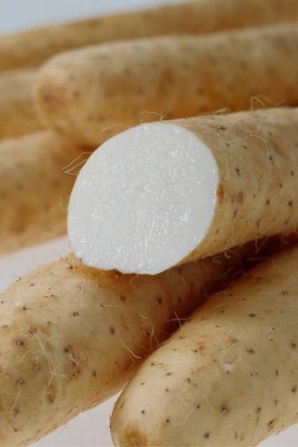 いよいよ旬。青森ながいも「ガンクミジカ」