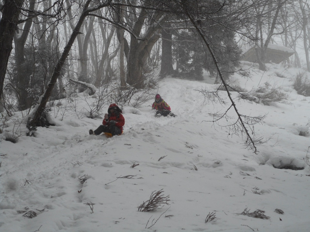 本気(マジ)で楽しい「大人の本気のソリ遊びツアー」