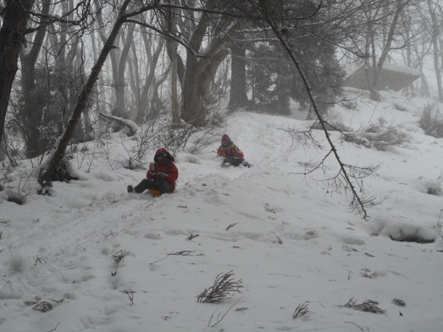 本気（マジ）で楽しい「大人の本気のソリ遊びツアー」