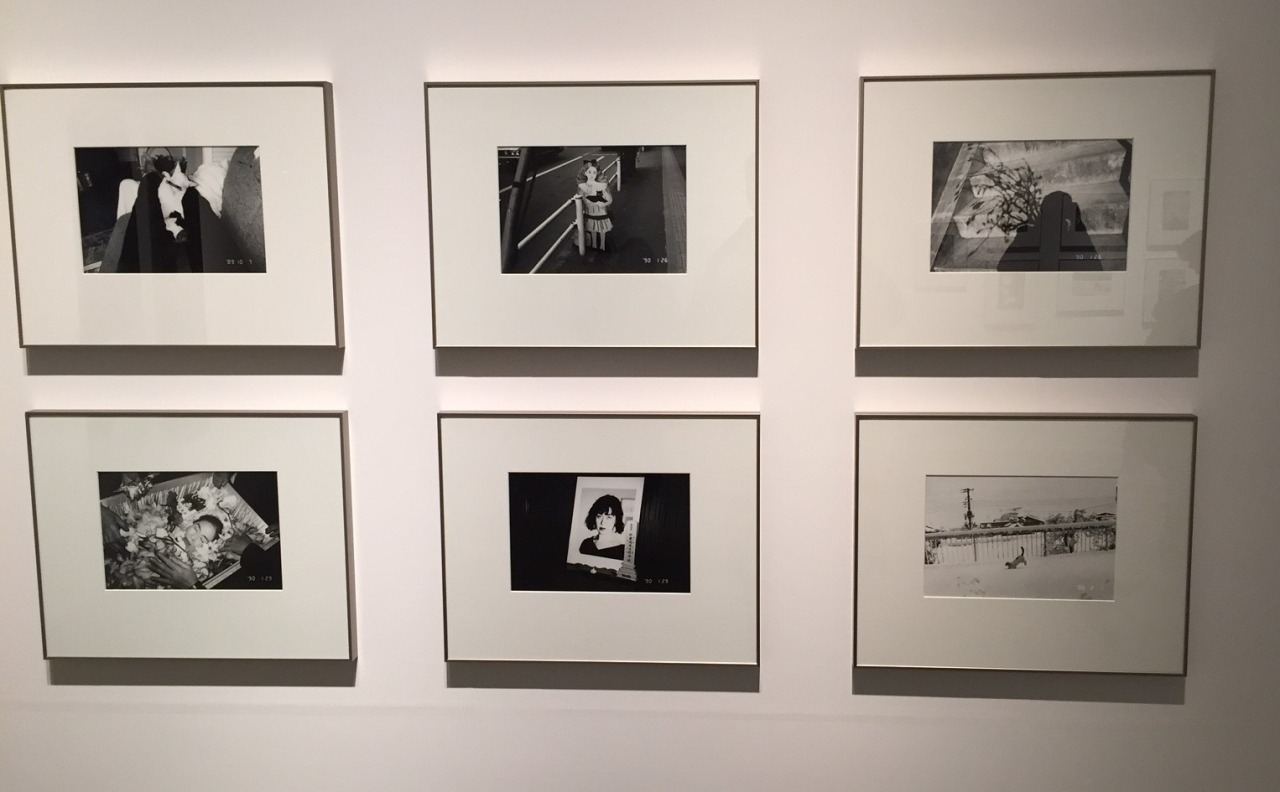 地霊 − 呼び覚まされしもの　〜東川賞コレクションより〜